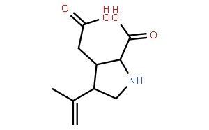 (-)-α-Kainic Acid