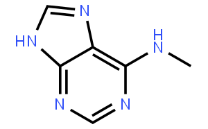6-(METHYLAMINO)PURINE