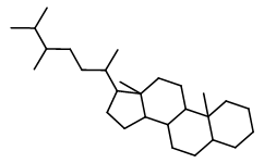 ααα (20R,24R)-24-Methylcholestane