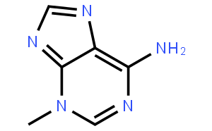 3-Methyladenine (3-MA)；细胞自噬抑制剂;6-氨基-3-甲基嘌呤