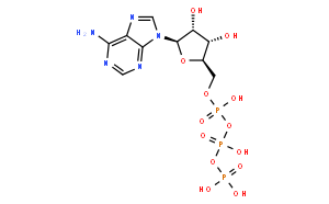 5’-三磷酸腺苷二钠盐（ATP-2Na）