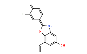 2-(3-氟-4-羟苯基)-7-乙烯基苯并[d]恶唑-5-醇