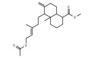 乙酰基异柏烯酸