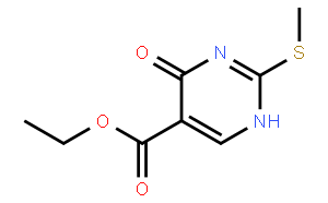 1,4-二氫-2-(甲巰基)-4-氧代-5-嘧啶甲酸乙酯