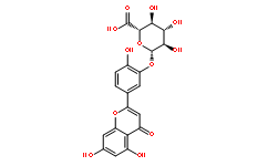 木犀草素-3'-葡萄糖醛酸苷