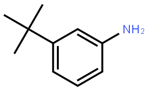 3-叔丁基苯胺