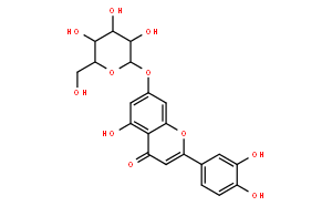 木犀草苷