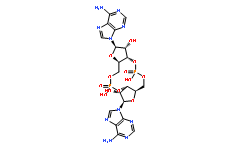 Cyclic di-AMP