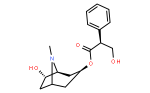 氢溴酸山莨菪碱