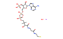 輔酶A鈉鹽水合物(Sigma分裝)