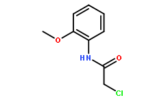 2-氯-N-(2-甲氧苯基)乙酰胺