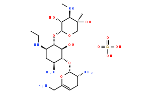 硫酸奈替米星