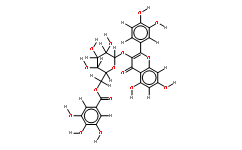 槲皮素-3-O-(6″-没食子酰基)-β-D-葡萄糖苷