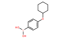 4-环己基氧苯硼酸