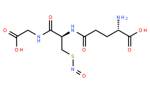 S-亞硝基谷胱甘肽