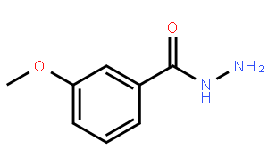 3-甲氧基苯甲酰肼