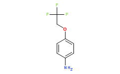 4-(2,2,2-Trifluoroethoxy)aniline