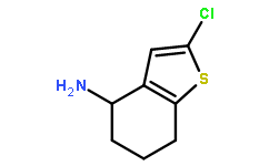 2-chloro-4,5,6,7-tetrahydro-1-benzothiophen-4-amine