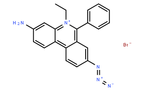 Ethidium Bromide Monoazide