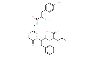 Tyr-Gly-Gly-Phe-Leu