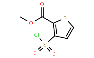 3-(氯磺酰)-2-噻吩羧酸甲酯