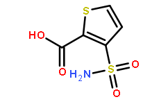 3-(氨基磺酰基)噻吩-2-羧酸