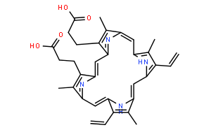原卟啉IX