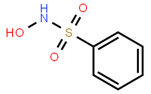 Benzenesulfohydroxamic Acid