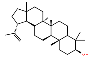 羽扇豆醇