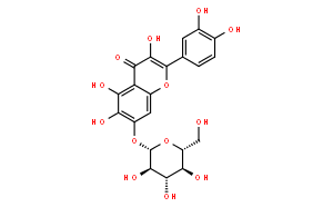 槲皮萬壽菊苷
