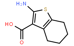 2-氨基-4,5,6,7-四氢苯并[b]噻吩-3-羧酸