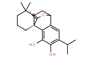 鼠尾草酚、鼠尾草苦內(nèi)脂