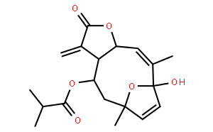 圆叶肿柄菊素 F