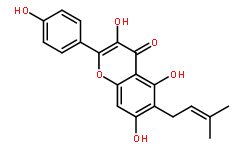 甘草黃酮醇