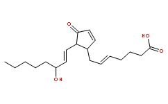 PGJ2 (Prostaglandin J2)
