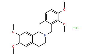 延胡索乙素