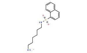 N-(6-Aminohexyl)-1-naphthalenesulfonamide Hydrochloride
