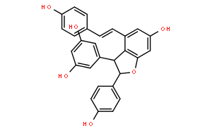 ε-Viniferin
