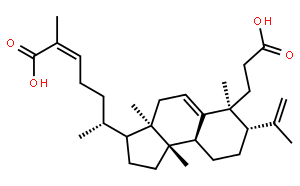 南五味子酸