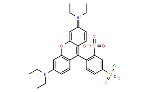 磺胺罗丹明B酰氯[罗丹明B磺酰氯]