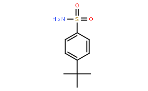 4-叔丁基苯磺酰胺