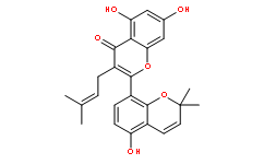 桑皮酮A;桑黄酮A