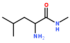 (2S)-2-amino-N,4-dimethylpentanamide