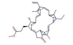 焦脱镁叶绿酸a甲酯