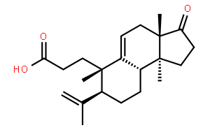 三萜酸 A