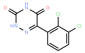 3,5-Didesamino-3,5-dioxo Lamotrigine