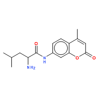 L-Leucine 7-Amido-4-methylcoumarin