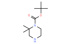 1-BOC-2,2-DIMETHYL-PIPERAZINE