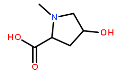 (2S,4S)-4-Hydroxy-1-methylpyrrolidine-2-carboxylic acid