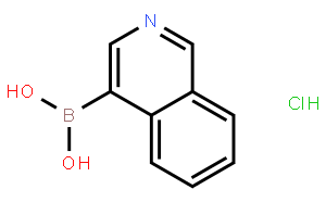 异喹啉-4-硼酸盐酸盐